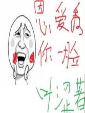 恩爱秀你一脸小说