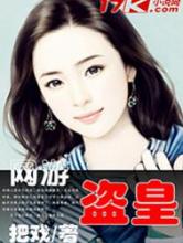 网游之盗皇小说