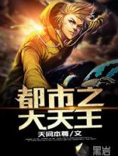 都市之大天王小说