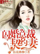 闪婚总裁契约妻小说