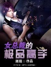 女总裁的极品高手小说
