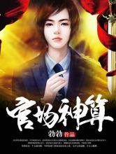 官场神算小说