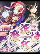 神瞳：魔法永恒小说