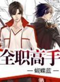 全职高手小说
