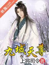 九域天尊小说
