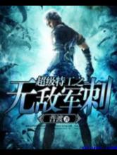 超级特工之无敌军刺小说