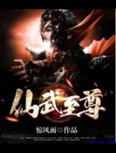 仙武至尊小说