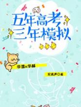 五年高考三年模拟小说