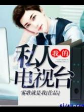 我的私人电视台小说