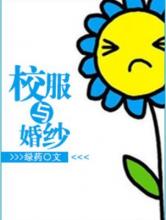 校服与婚纱小说