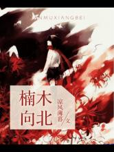 楠木向北小说
