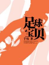 足球宝贝小说