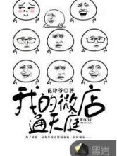 我的微店通天庭小说