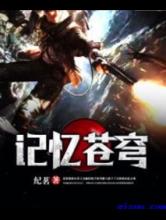 记忆苍穹小说
