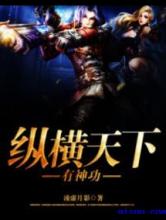 纵横天下有神功小说