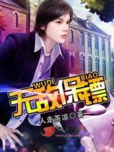 无敌保镖小说