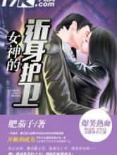女神的近身护卫小说