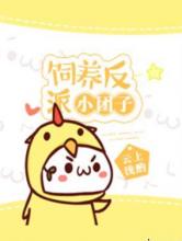 饲养反派小团子小说
