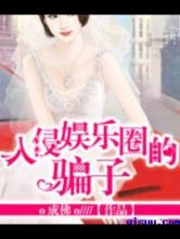 入侵娱乐圈的骗子小说