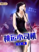 桃运小司机小说