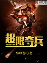 超限奇兵小说