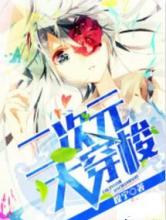 二次元大穿梭小说