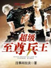 超级至尊兵王小说