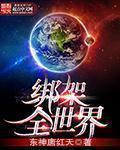 绑架全世界小说