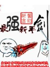 最强新手剑小说