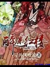 醉迷红楼小说