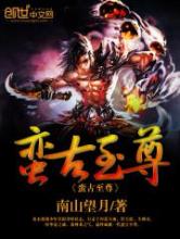 蛮古至尊小说