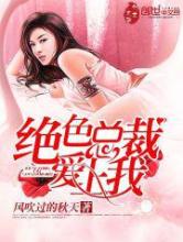 绝色总裁爱上我小说