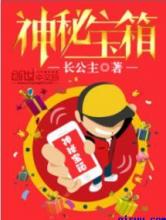 神秘宝箱小说