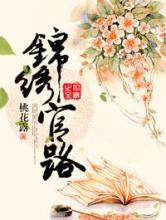 锦绣官路小说