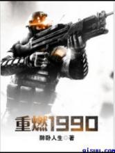 重燃1990小说
