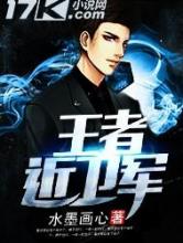 王者近卫军小说