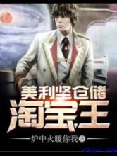 美利坚仓储淘宝王小说