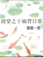 清穿之十福晋日常小说