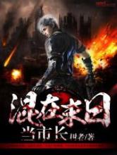 混在末日当市长小说