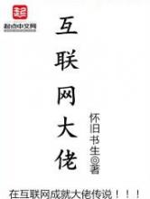互联网大佬小说