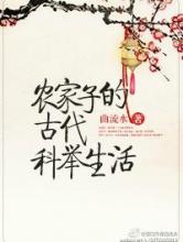 农家子的古代科举生活小说
