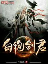 白袍剑君小说