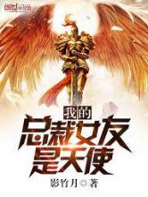我的总裁女友是天使小说