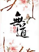 无道小说