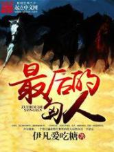 最后的匈人小说