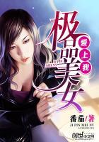 极品美女爱上我小说