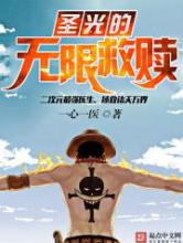 圣光的无限救赎小说