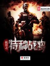 抗日之特种战将小说
