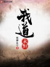 我道永恒小说
