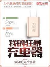我的狂暴充电器小说